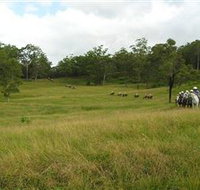 Numinbah Valley Adventure Trails - Gold Coast Attractions