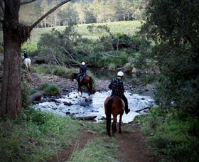 Numinbah Valley Adventure Trails - Gold Coast Attractions 3