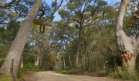 North Head Lookout - Gold Coast Attractions 1