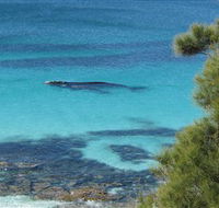 Jervis Bay Marine Park - Gold Coast Attractions