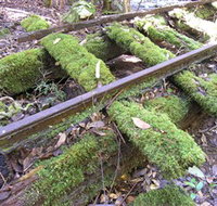 Wootton Historical Railway Walk - Gold Coast Attractions