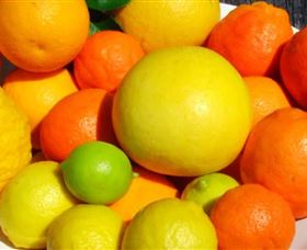 Fruit Salad Tree Company - Gold Coast Attractions 2