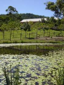 Mount Nathan Winery - Gold Coast Attractions 2