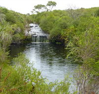 Booderee National Park Green Patch and Telegraph Creek Walking Tracks - Gold Coast Attractions