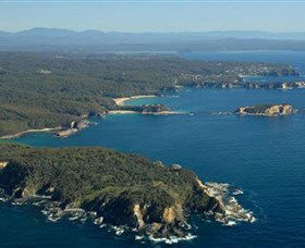 Banksia Walk - Burrewarra Point - Gold Coast Attractions 0