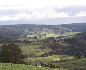 Blackwood River Tourist Drive - Gold Coast Attractions 2