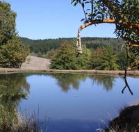 Oak Grove Walk Balingup - Gold Coast Attractions