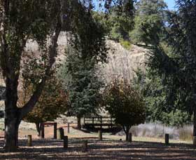Oak Grove Walk, Balingup - Gold Coast Attractions 2
