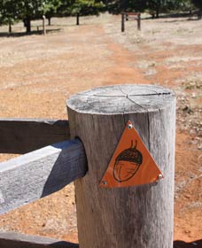 Oak Grove Walk, Balingup - Gold Coast Attractions 3