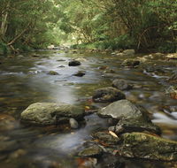 Plateau Circuit loop trail - Gold Coast Attractions