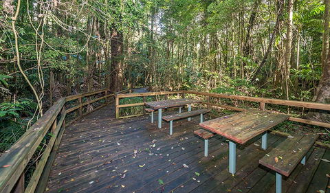 Starrs Creek Picnic Area - Gold Coast Attractions 1