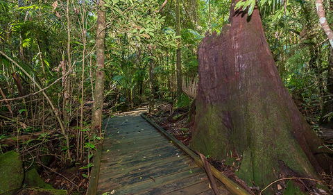 Starrs Creek Picnic Area - Gold Coast Attractions 2