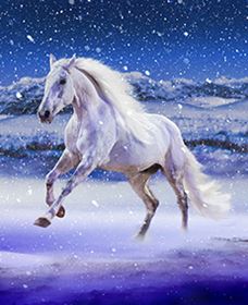 Australian Outback Spectacular: High Country Legends - Gold Coast Attractions 1