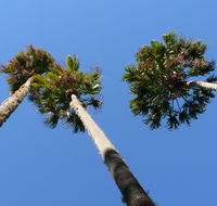 Bindarri National Park - Gold Coast Attractions