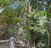 Goorgana walking track - Gold Coast Attractions