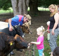 Crystal Creek Miniatures - Gold Coast Attractions