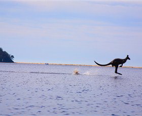 Tuross Lake - Gold Coast Attractions 2