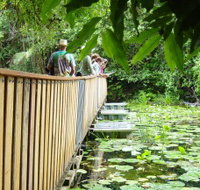 Rocky Creek Dam - Gold Coast Attractions