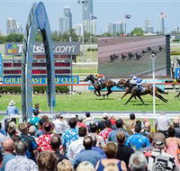 Gold Coast Turf Club - Gold Coast Attractions