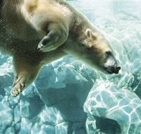 Australia's Sea World - Gold Coast Attractions