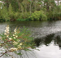 Wallingat National Park - Gold Coast Attractions