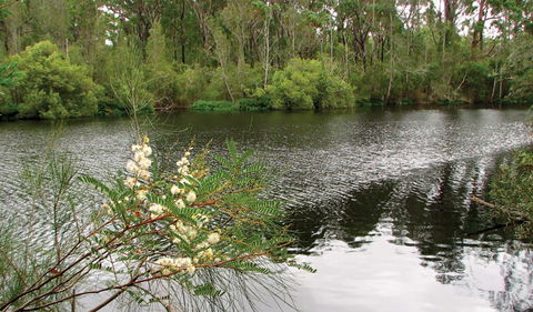 Wallingat National Park - Gold Coast Attractions 0
