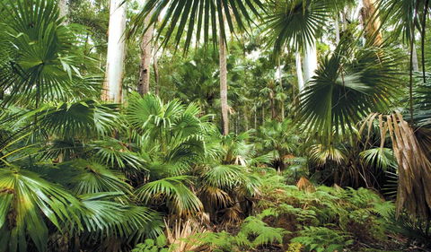 Wallingat National Park - Gold Coast Attractions 3