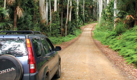 Wallingat National Park - Gold Coast Attractions 2