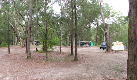 Wallingat National Park - Gold Coast Attractions 1