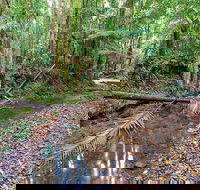 Ulidarra National Park - Gold Coast Attractions