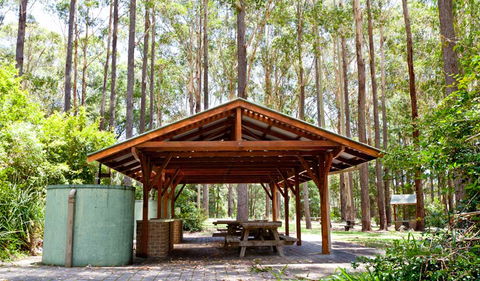 Bongil Picnic Area - Gold Coast Attractions 0
