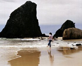 Glasshouse Rocks And Pillow Lava - Gold Coast Attractions 1