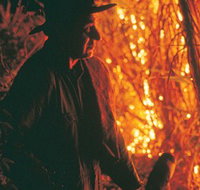 The Shed Gallery - Gold Coast Attractions