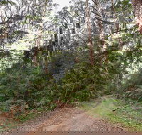 End Peak walking track - Gold Coast Attractions