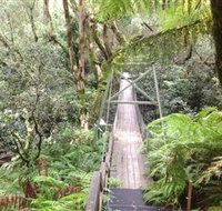 Bemm River Scenic Reserve - Gold Coast Attractions