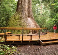 Burrawan State Forest - Gold Coast Attractions