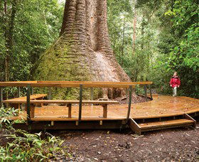 Burrawan State Forest - Gold Coast Attractions 0