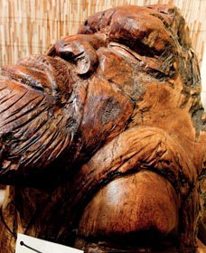 Tobwabba Art - Gold Coast Attractions 1