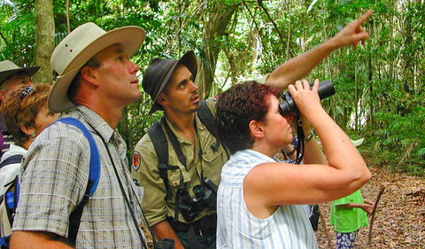 Falls Walking Track - Gold Coast Attractions 0