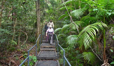 Falls Walking Track - Gold Coast Attractions 2