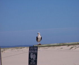 Manning Entrance State Park - Gold Coast Attractions 1