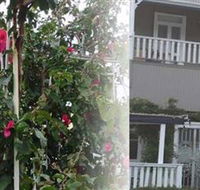 House of Gabriel - Gold Coast Attractions