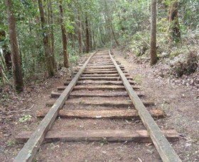 Kerewong State Forest - Gold Coast Attractions 1