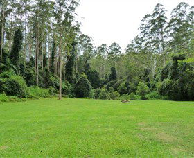 Kerewong State Forest - Gold Coast Attractions 0