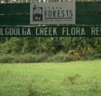 Woolgoolga Creek Flora Reserve - Gold Coast Attractions