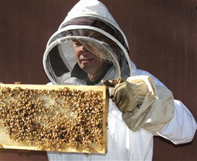 Superbee Honeyworld Gold Coast - Gold Coast Attractions 1