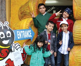 Superbee Honeyworld Gold Coast - Gold Coast Attractions 3