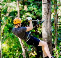 TreeTop Challenge Currumbin - Gold Coast Attractions