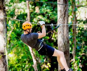 TreeTop Challenge Currumbin - Gold Coast Attractions 0