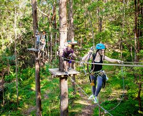 TreeTop Challenge Currumbin - Gold Coast Attractions 1
